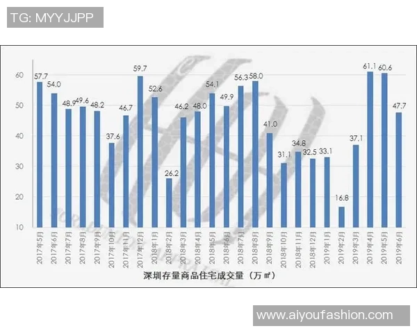 深圳攀岩队整体压制体系的战术分析与实战应用探讨